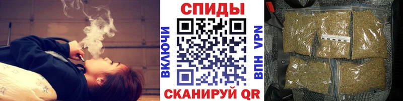 БУТИРАТ буратино Бикин